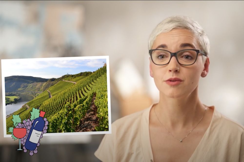 Урок 8. НІМЕЧЧИНА ТА АВСТРІЯ.