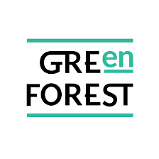 GREEN FOREST -10%