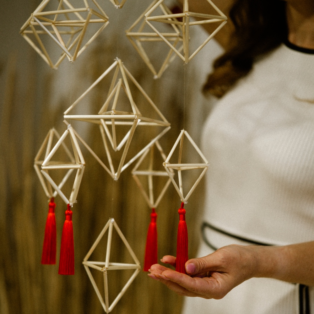 Набір для творчості Різдвяний павук